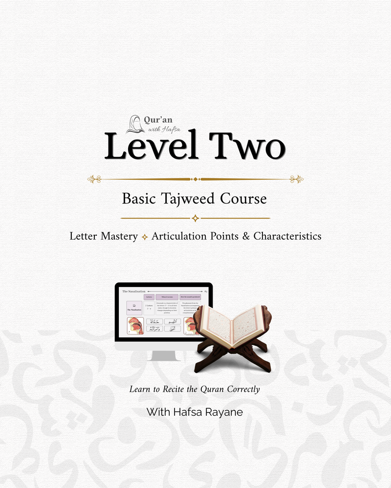 Beginner Level 2 (3-month program)